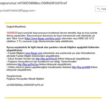 26.06.2024 Pegasus Hava Yolları Fra/ SAW PC 996 17:45 4 Saat Rötar