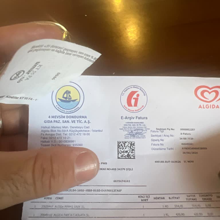 Algida 4 Mevsim Dondurma