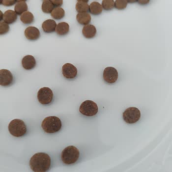 Pazarama Yanıltıcı Ürün Satışı Ve Mağduriyet