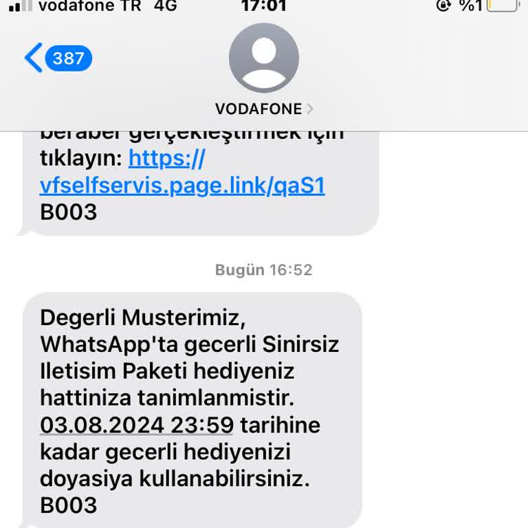 Vodafone İnternetim Olduğu Halde Kullanamıyorum!