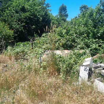 Kartal Belediyesi Temizlenemeyen Yabani Ot