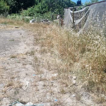 Kartal Belediyesi Temizlenemeyen Yabani Ot