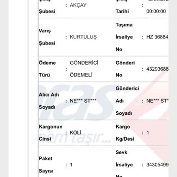 Çiçek Sepeti Sinek Öldürücü Aras Kargo