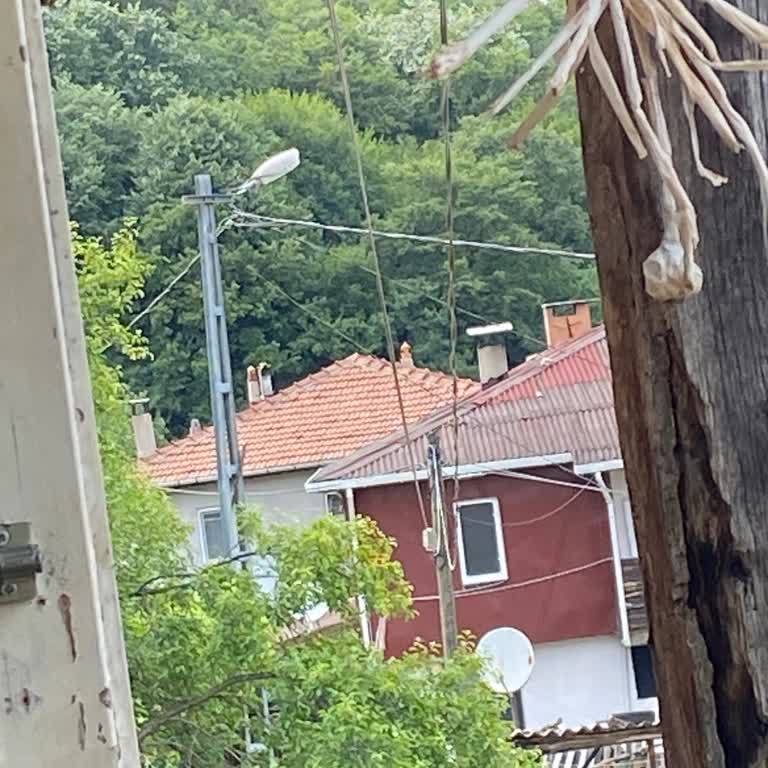 Türk Telekom'un İlgisizliği Ve Mağdur Bırakması