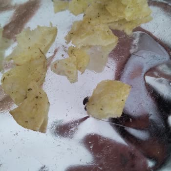 Lays'in İçinde Ölü Sinek Çıktı