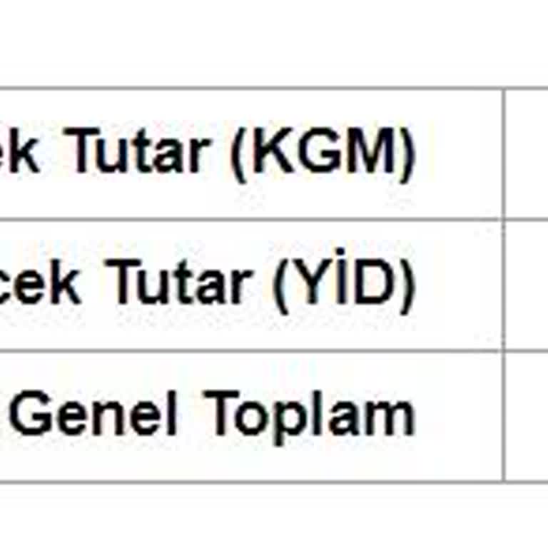 HGS Ve Otoyol İşletmecilerinin Koordinasyon İletişimsizliği