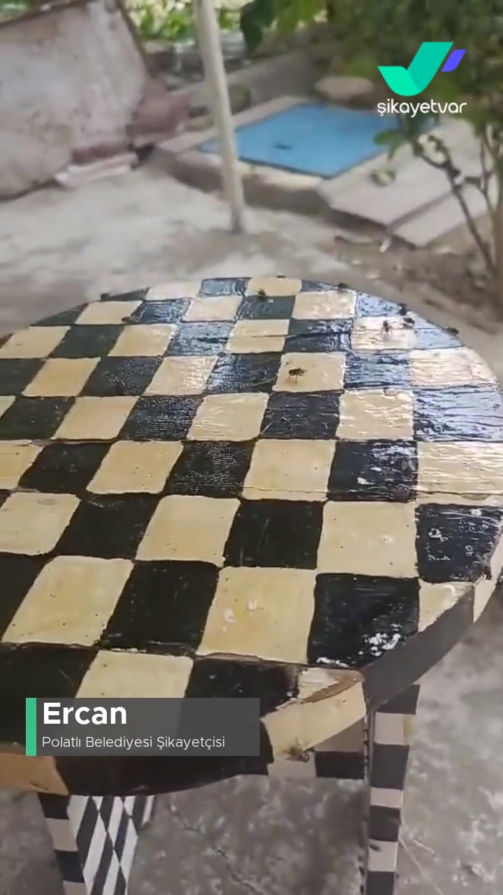 Polatlı Belediyesi Sinek Sorunu! videonun kapak resmi