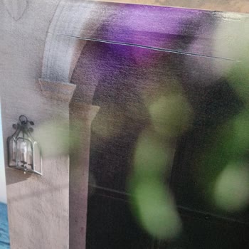 Kare Fotoğrafçılık Kare Foto Şikayet