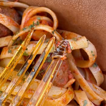 Makarnam Böcekli Makarna Siparişi