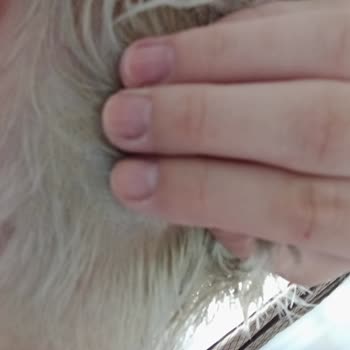 Palette 10.1 Saç Derisini Yakıyor