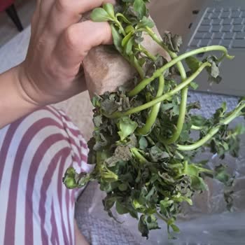 Şok Marketler Bozuk Ve Kalitesiz Ürünler