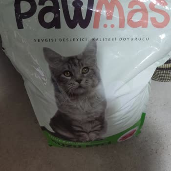 A101 Sokak Hayvanları İçin Aldığım Mamayı Kabul Etmiyor