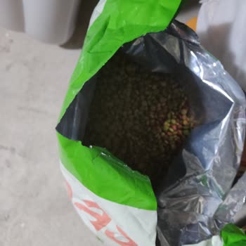 A101 Sokak Hayvanları İçin Aldığım Mamayı Kabul Etmiyor