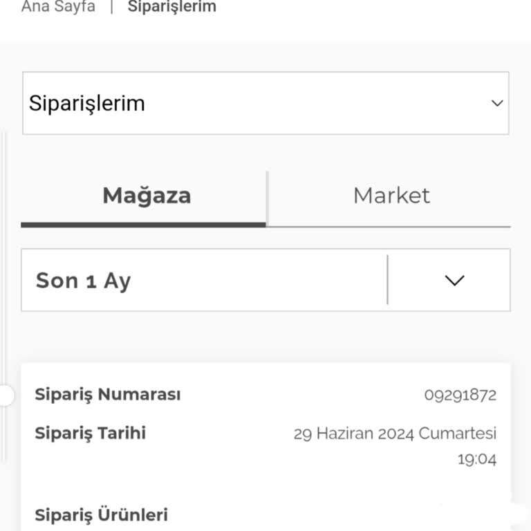 Özdilekteyim.com Siparişimi Göndermiyor
