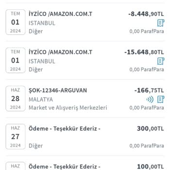 iyzico 24 Bin 97 TL Harcama Yapılmış Kartımdan Çekim Yapılmış