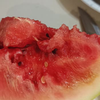 Getir Büyük Bozuk Karpuz