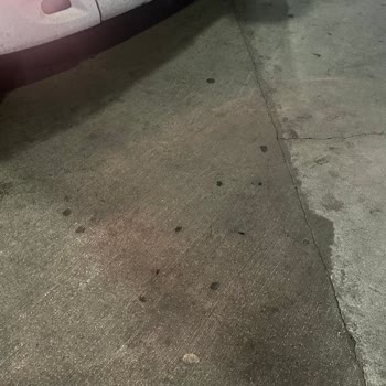 Efetur Kaptanın Muavine Olan Kaba Tavrı
