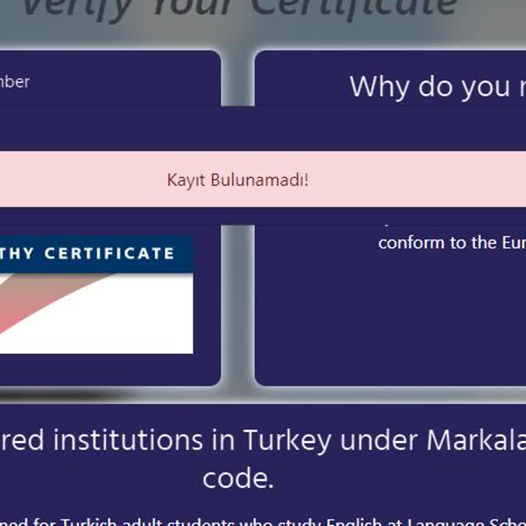 Amerikan Kültür Yabancı Dil Kursları Sertifika Doğrulama Sorunu