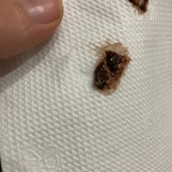 Hakmar'dan Aldığım Tatdo Dondurma Bozuk Çıktı