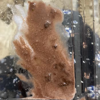 Hakmar'dan Aldığım Tatdo Dondurma Bozuk Çıktı