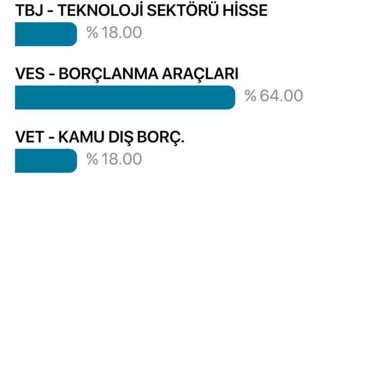 Türkiye Hayat Emeklilik Mobil Uygulama Saçmalığı
