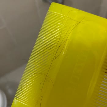 Bioxcin Forte Şampuan Etkisi Yok