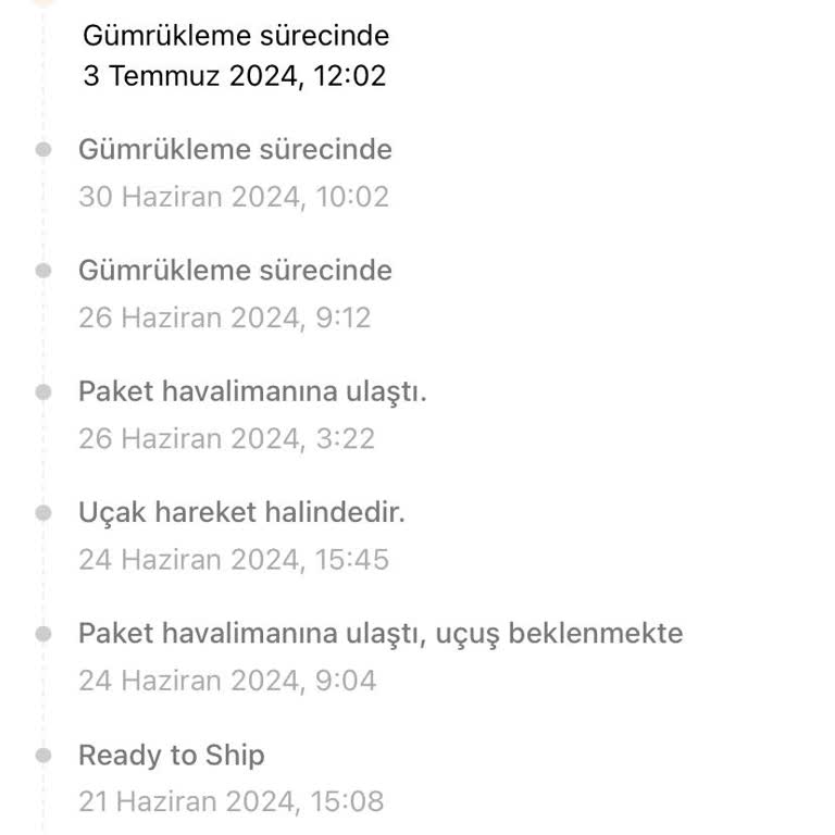 Temu Gümrük Sorunu