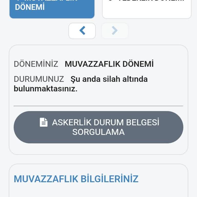 E-Devlet (Turkiye.gov.tr) Askerlik Terhis Belgesi Sorunu, Silah Altında Görünüyorum!