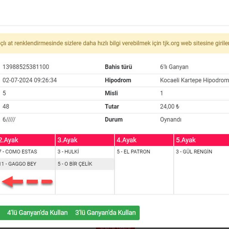 Tjk Online Bahis Mağduriyetim