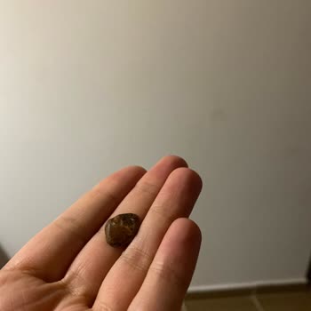 Çerezya Kuruyemiş İçinden Taş Çıkması