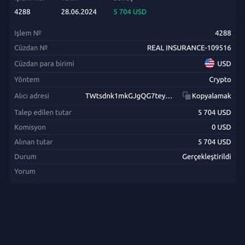 Skype wallet Paramı Alamıyorum, Blockchain De Takıldı