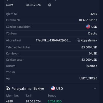 Skype wallet Paramı Alamıyorum, Blockchain De Takıldı
