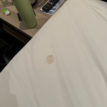 Ostimpark Business Hotel Pis Oda Ve Çalışmayan Klima