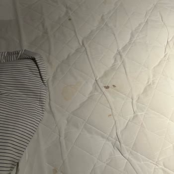 Ostimpark Business Hotel Pis Oda Ve Çalışmayan Klima