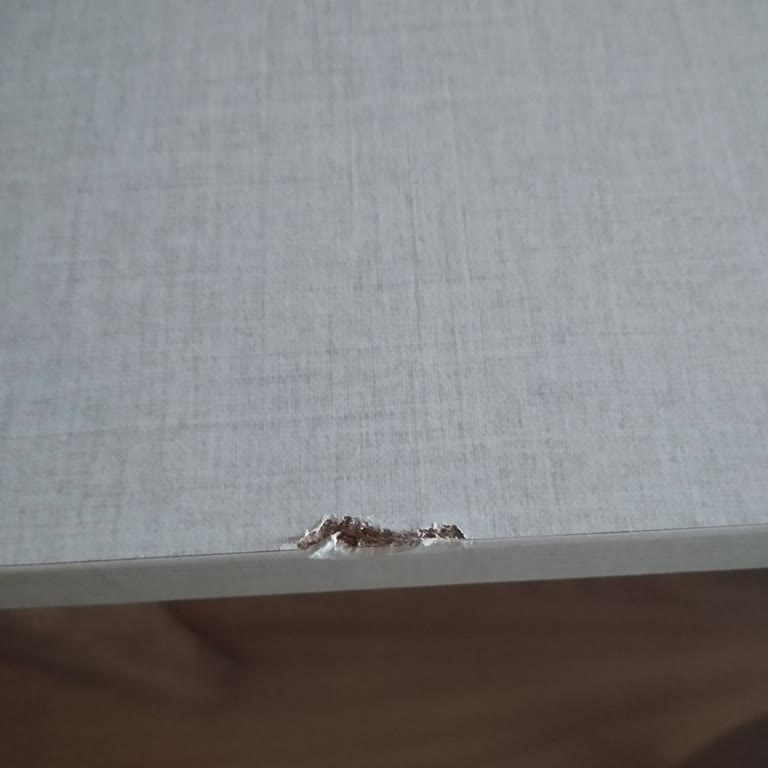 Bellona Kusurlu Ürünümün Yenisiyle Değiştirilmemesi Ve Çalışanların Üslubu