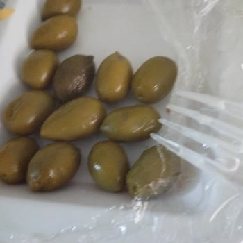 Sağlık Bakanlığı İnsan Sağlığının Hiçbir Önemi Yok Devlet Hastanesi Pişmanlığı