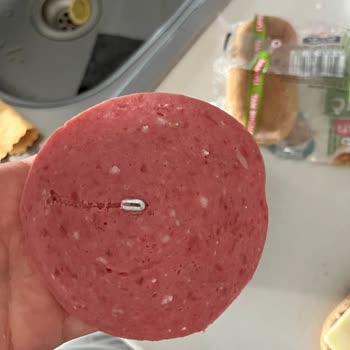 Namet Dana Macar Salam İçinden Metal Çıktı