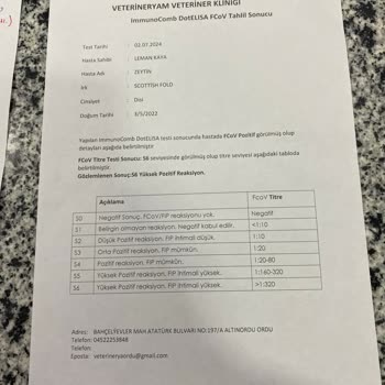 Veterineryam Yanlış Teşhis İşi Ticarete Dökmüşler