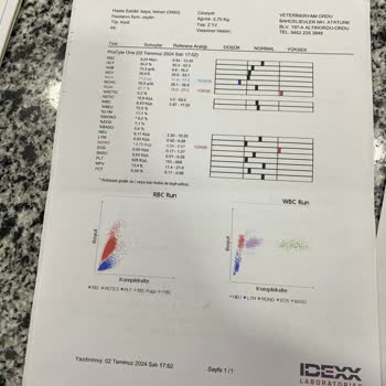 Veterineryam Yanlış Teşhis İşi Ticarete Dökmüşler