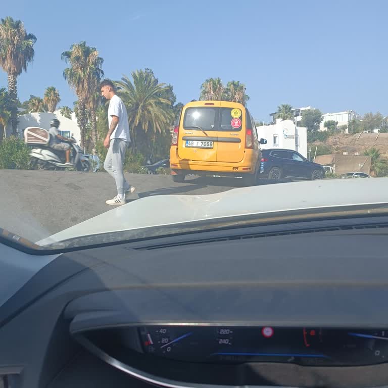 Trafik Canavarı Taxi
