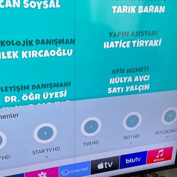 Samsung Televizyon Ekranı Kırmızı Çizgi