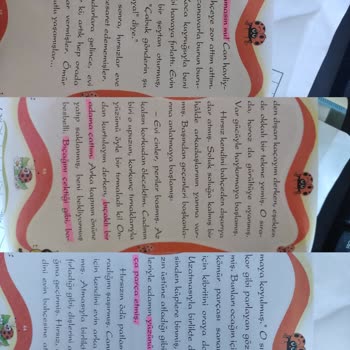 Mercek Yayınları Dehşet Verici Olaylar, Yanlış Yönlendirmeler