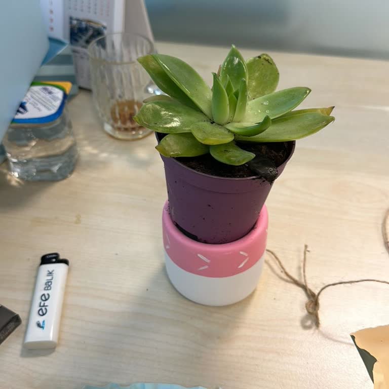 Helloboxturkey.com Hellobox 'fiyasko' Kutu Hediyesi