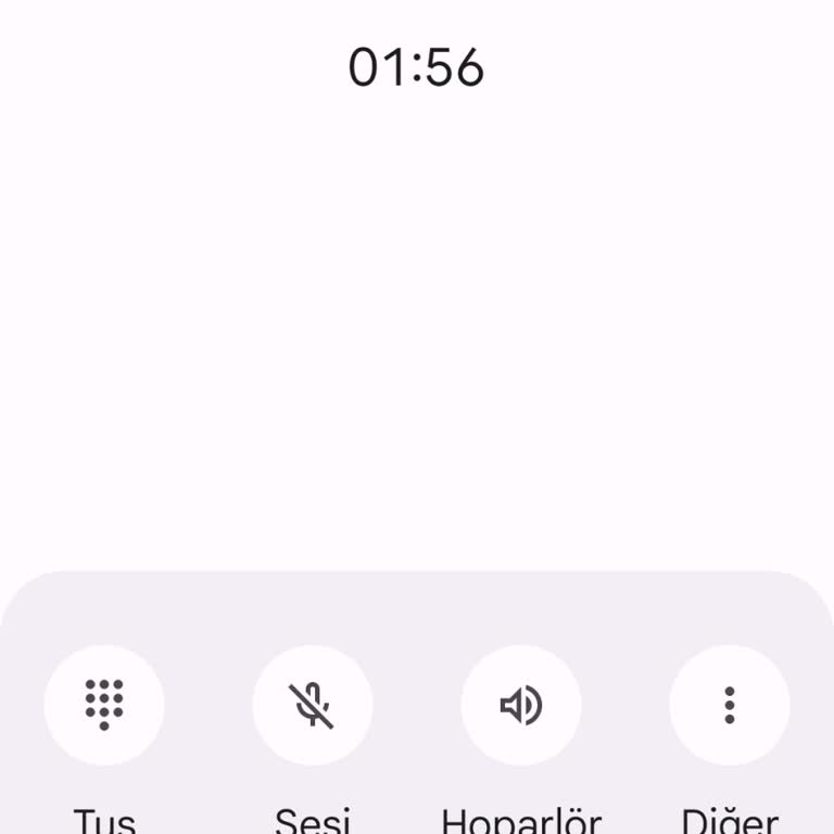 Algida'nın Sorumsuz Hizmeti