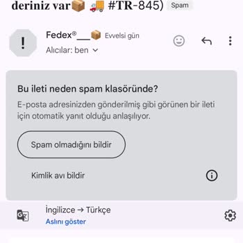 Fedex Şüpheli Mail Atma