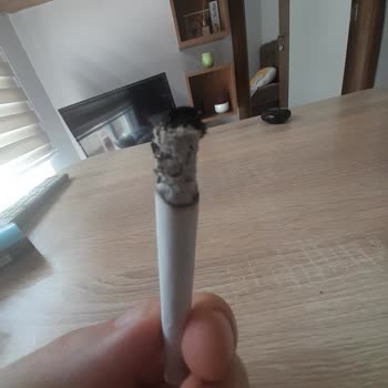 Philip Morris Sigaranın İçinden Yabancı Madde