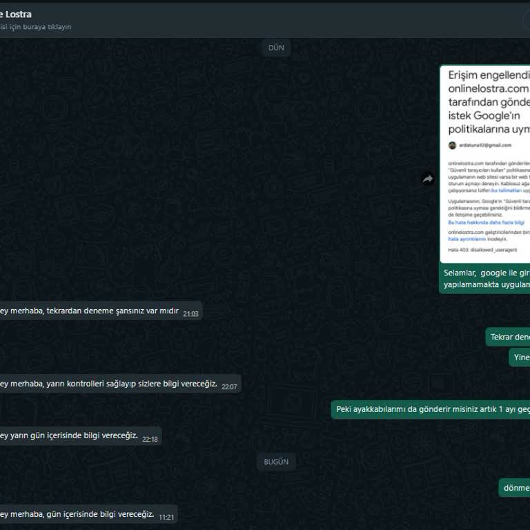 Online Lostra Teslim Ve Erişim Sorunları