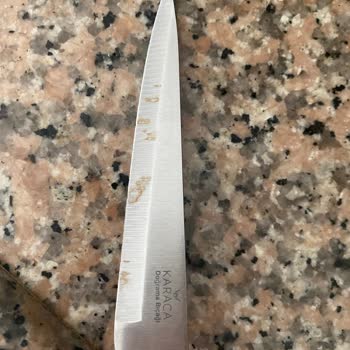 Vestel Bulaşık Makinesi Paslanma Sorunu Ve Müşteri Hizmetleri Yanıtı