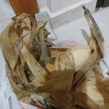 Migros Bozuk Küflenmiş Ürün Gönderiyor