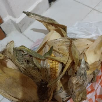 Migros Bozuk Küflenmiş Ürün Gönderiyor